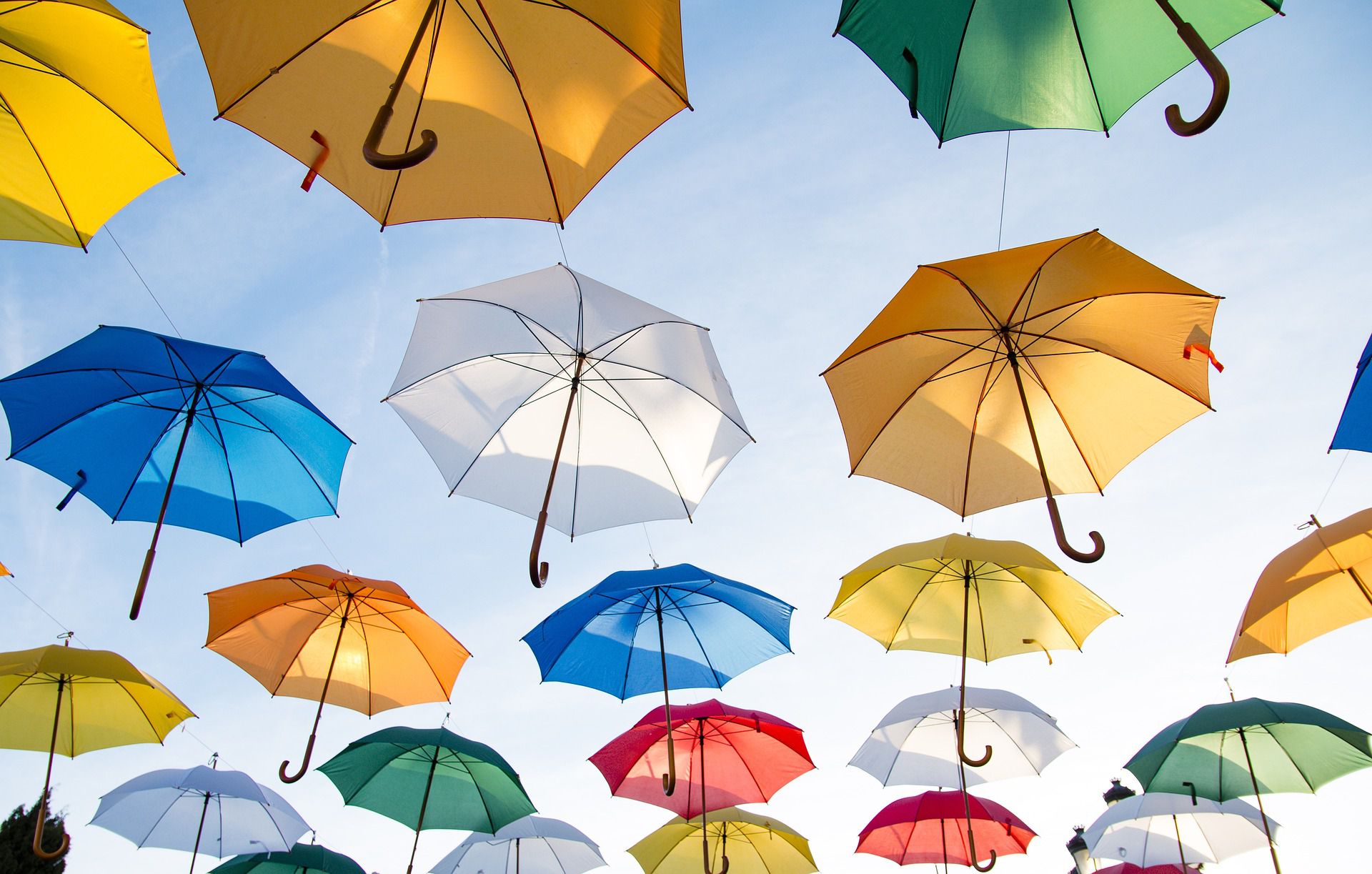 オシャレアイテムとして人気の傘